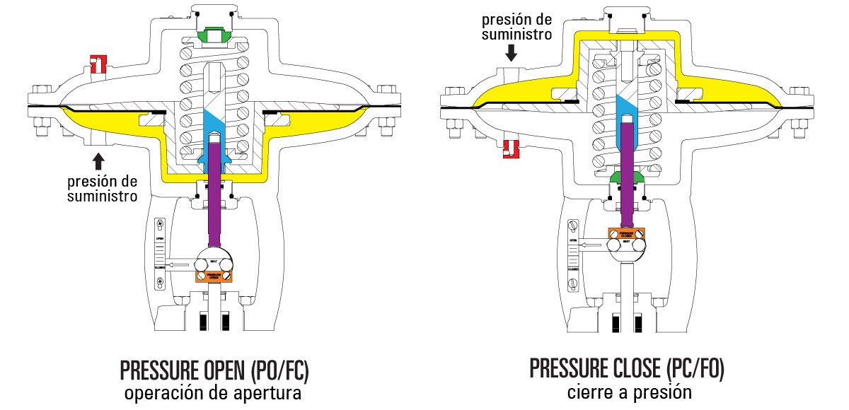 Topworks Convertibles en campo