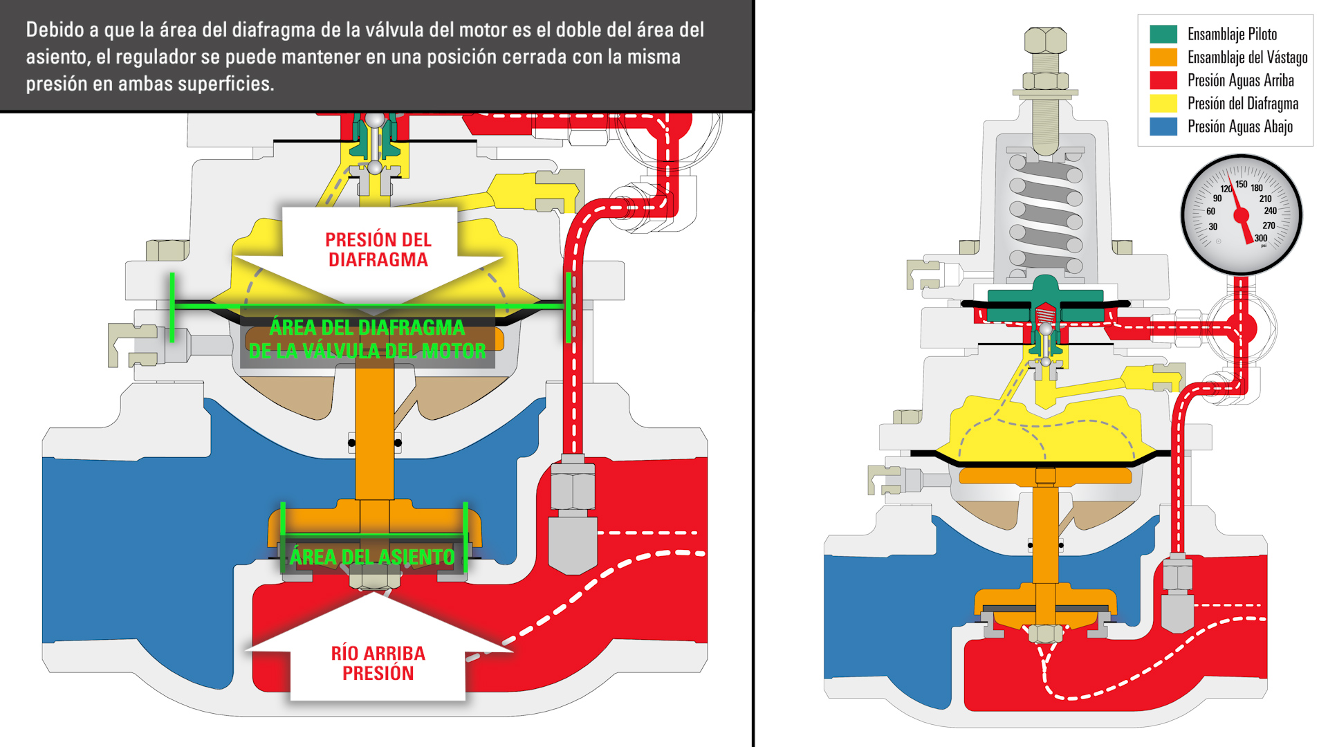 Área del diafragma frente al área del asiento