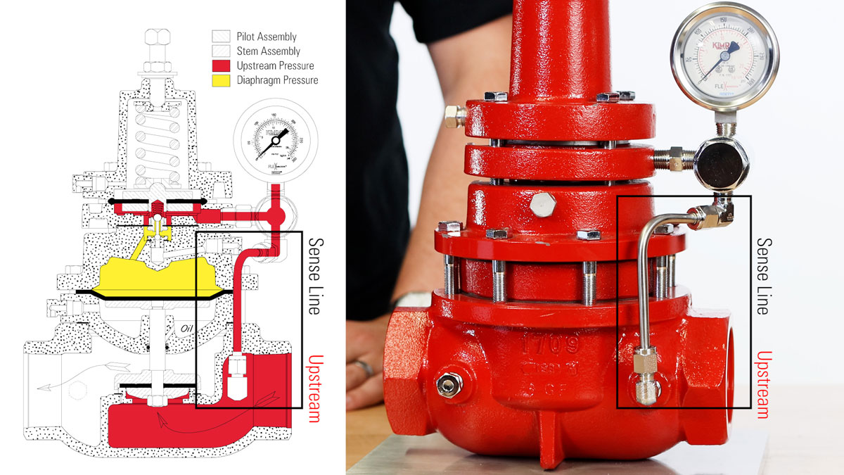 identifying a back pressure regulator by the sense line location