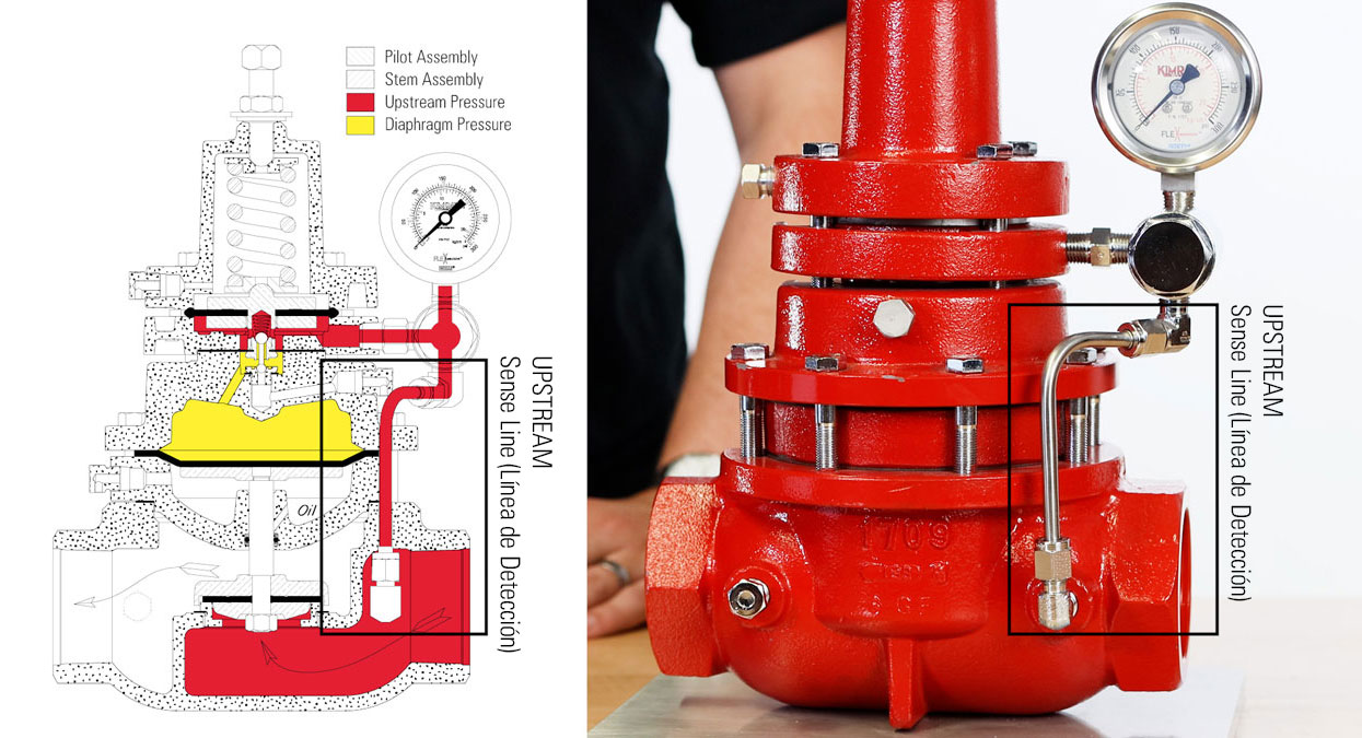 Back Pressure Regulator Sense Line