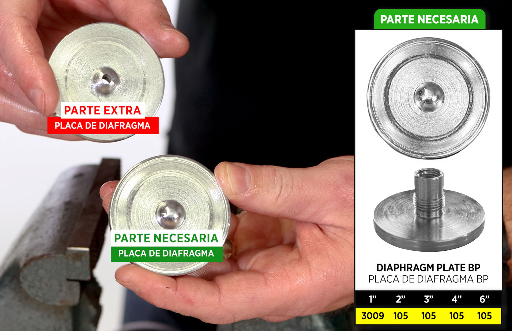 parte necesaria placa de diafragma