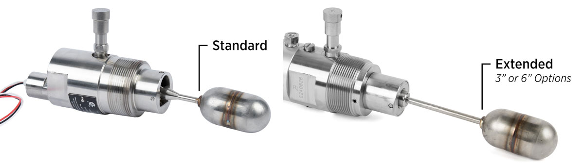 Standard vs Extended Options