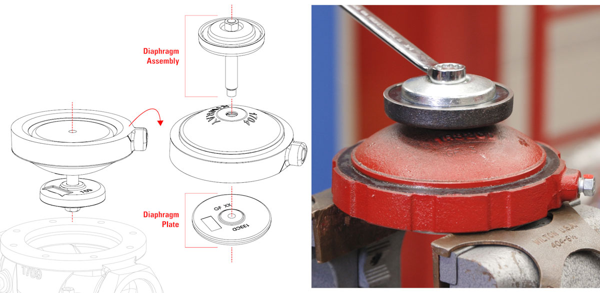 diaphragm assembly and diaphragm plate