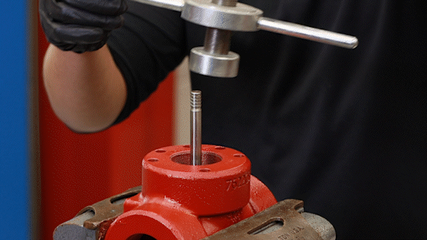 seat and cage removal tool